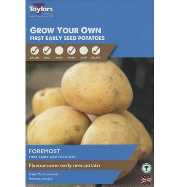 Seed Potatoes Foremost First Early Taster Pack - 10 Pack