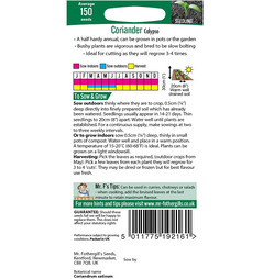 Coriander Calypso Packet Of Seeds - Mr Fothergills