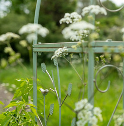 Woodland Metal Garden Rose Arch - Antique Green