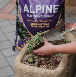 Alpine Planting & Potting Mix Compost - 25L Westlands