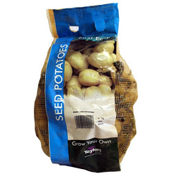 Seed Potatoes Rocket First Early - 2kg Pack - Taylors Bulbs 