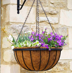 Metal 12" Saxon Hanging Basket With Coco Liner & Chain