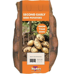 Seed Potatoes Charlotte Second Early - 2kg Pack - Taylors Bulbs 