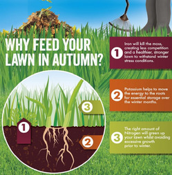 Westlands Aftercut Autumn All in One Lawn Feed and Moss Killer - 200 sq.m